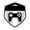 GT Leagues